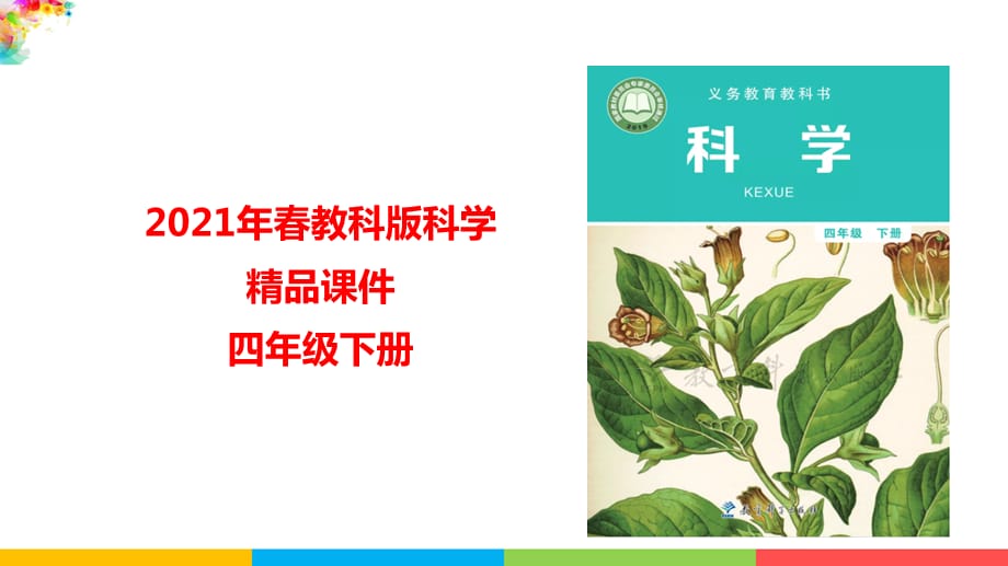 2021新教材教科版科学四年级下册11种子里孕育着新生命课件