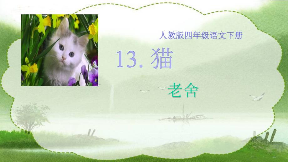 四年级语文下册课件13猫40部编版共19张ppt