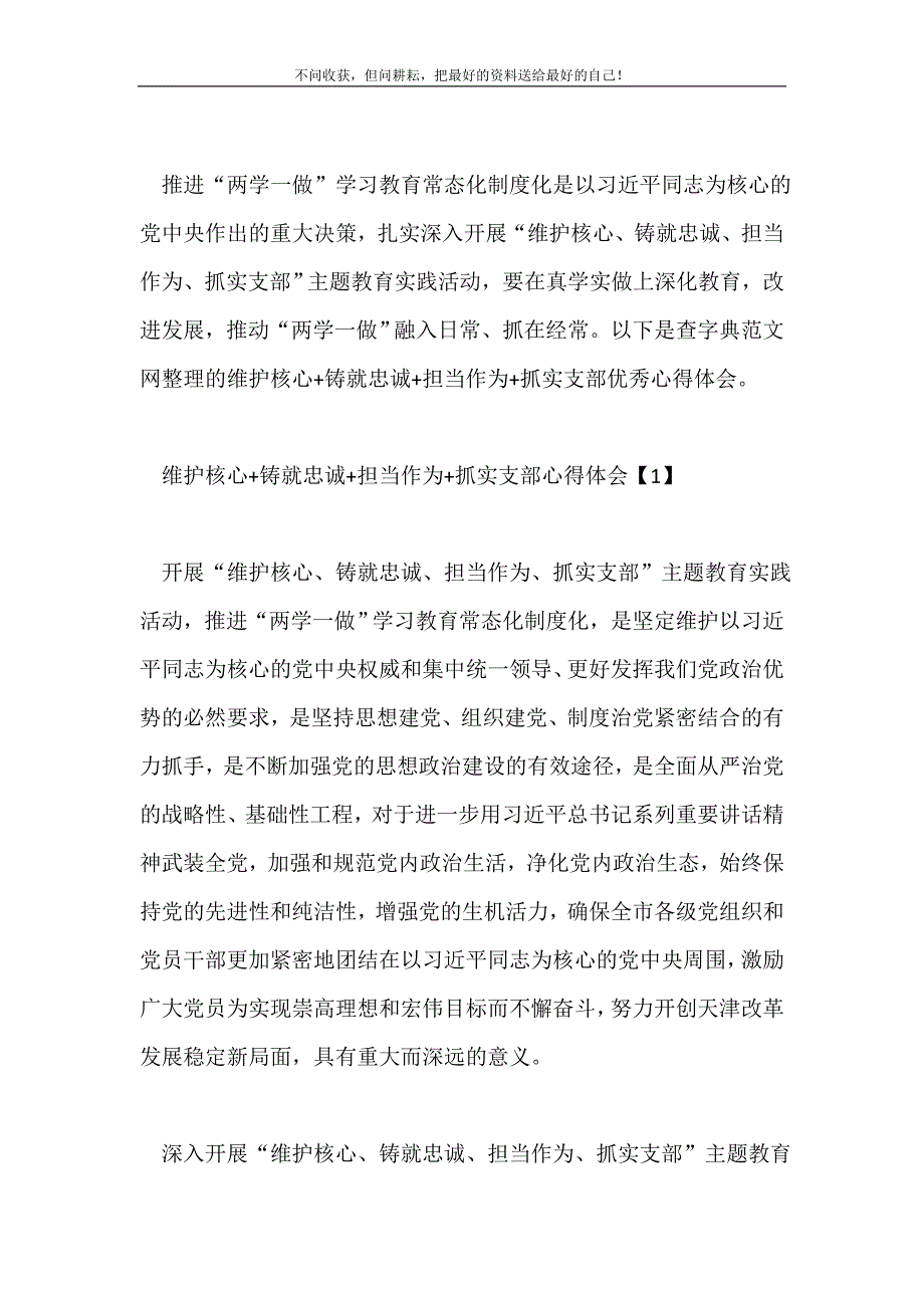 维护核心铸就忠诚担当作为抓实支部优秀心得体会2021最新编