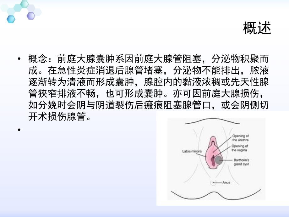 尿道旁腺囊肿图片女性图片