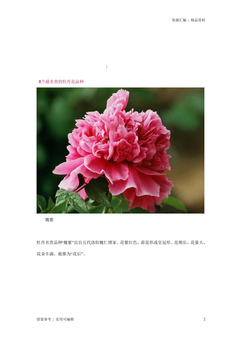 名贵的牡丹花品种大全[参照]