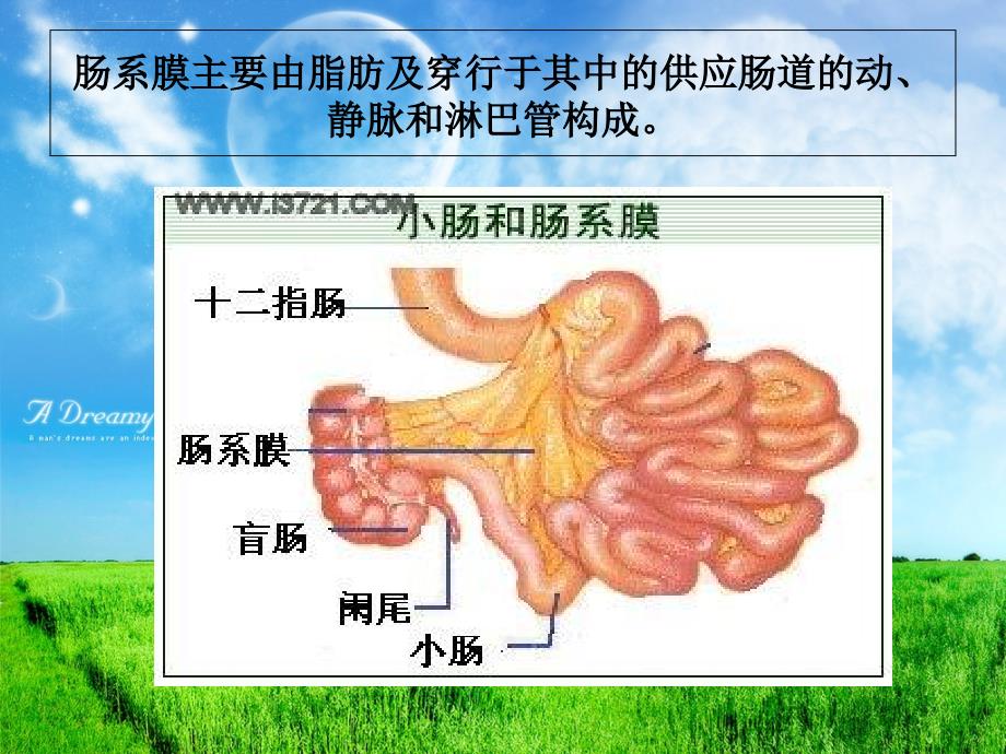 肠系膜硬化性脂膜炎图片