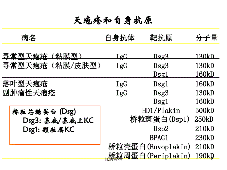 皮肤学天疱疮课件医者仁心