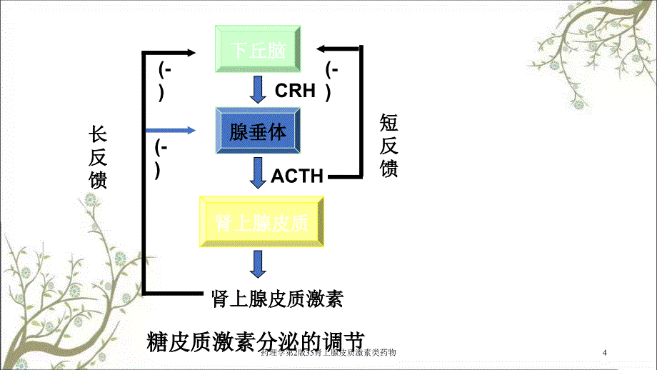 药理学第2版35肾上腺皮质激素类药物课件