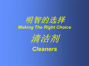 選擇清潔劑的五種因素PPT課件