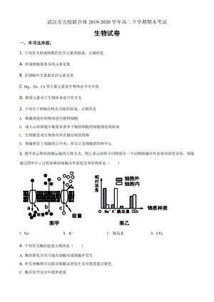 湖北省武漢市五校聯合體2019-2020學年高二下學期期末生物試題（原卷版）